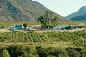 Bronze Grove Farm and Chalets